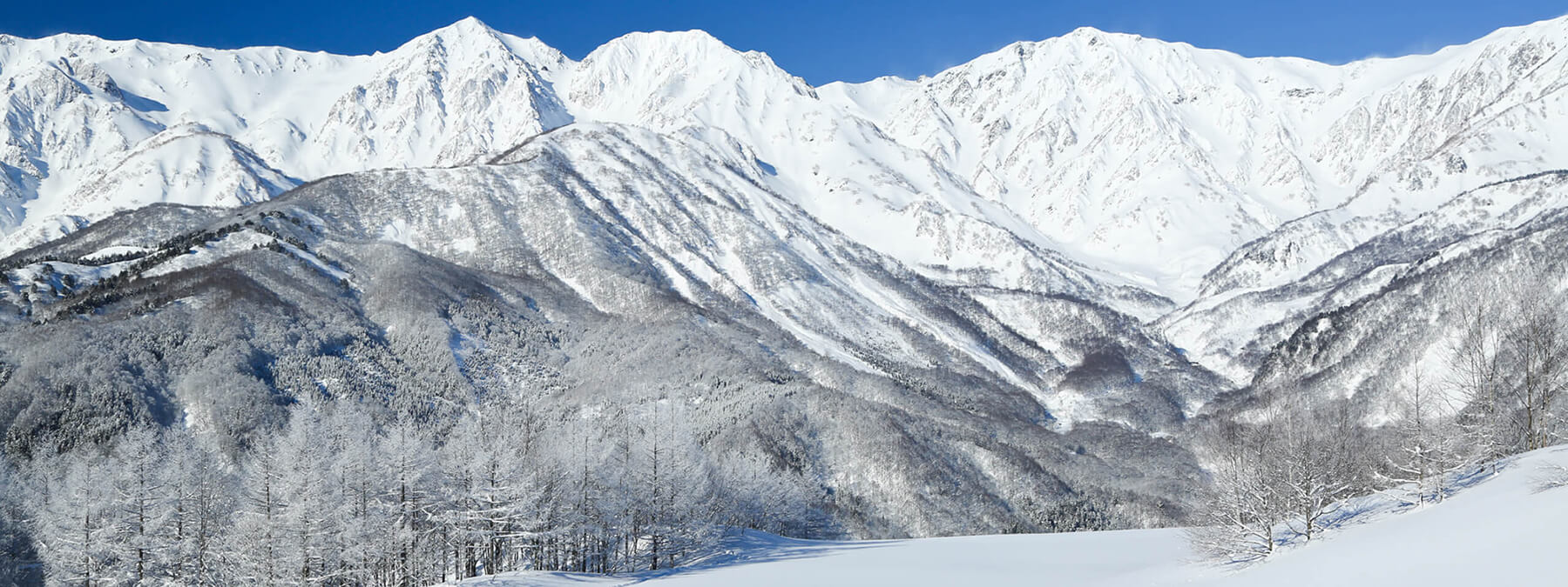 Kiroro Private Powder 滑雪度假